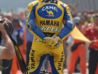 2006